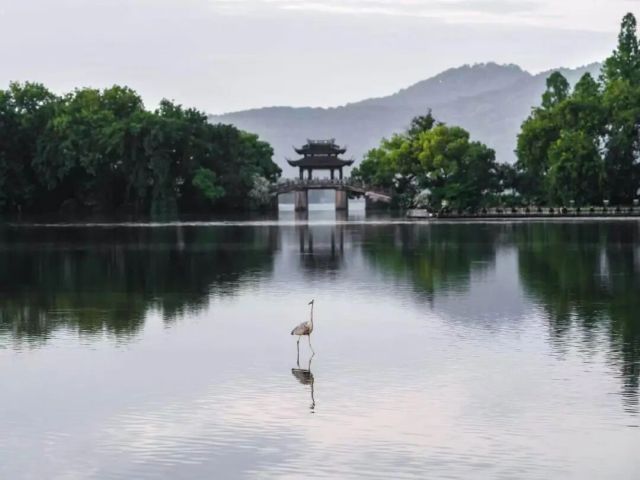 微信图片_20260607102136_313_5.jpg