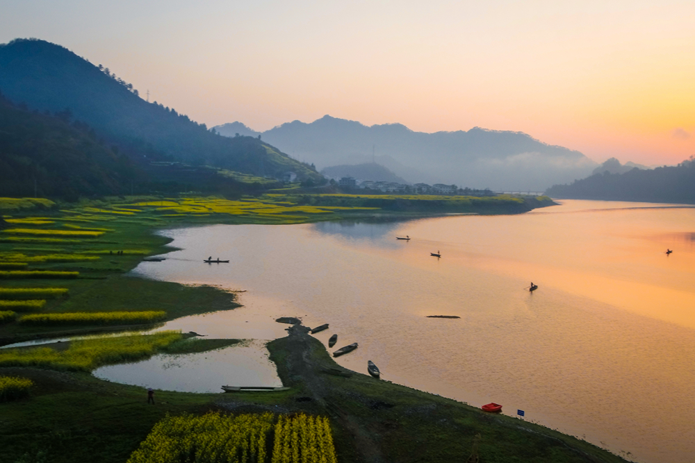 淳安梓桐镇搞了一场油菜花节美翻了