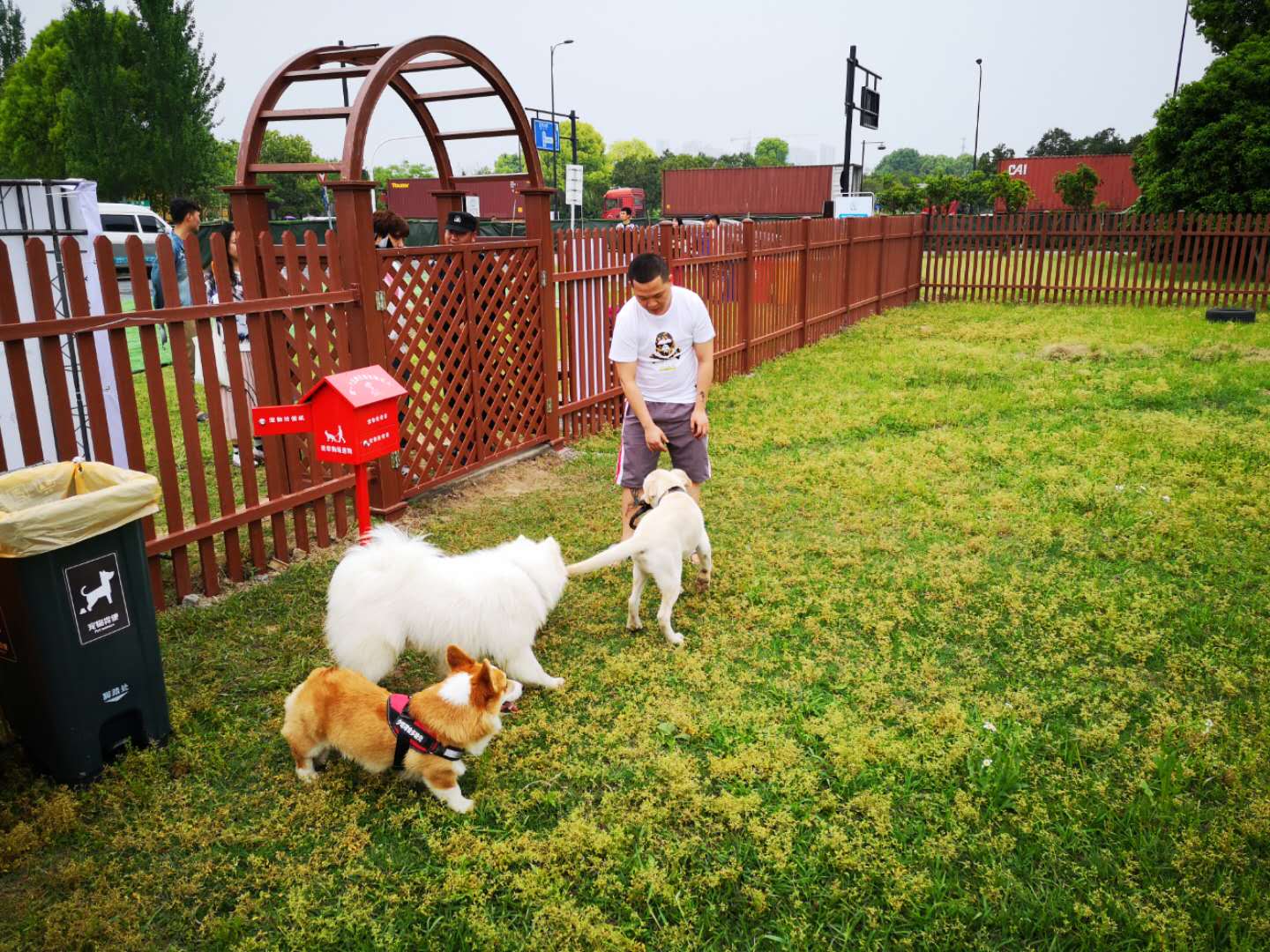杭州试点推出公共遛犬区,白天狗狗们也可以在草地上撒欢了