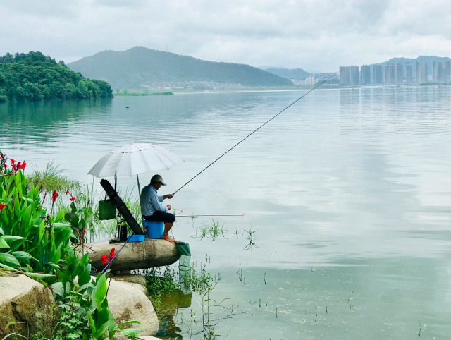 《湖光山影》叶子|摄作品介绍:在青山湖边风景优美,休闲垂钓好不惬意!