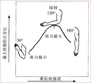 等长训练是指保持肌肉长度不变,只增加肌肉张力,等长训练提高肌肉力量