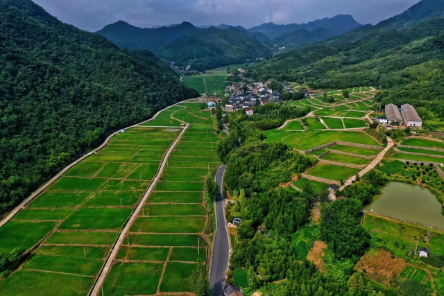 種植基地,將崤山腳下的裡塢村打造為藥膳養生之村;東洲街道黃公望村