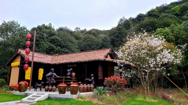 去年白酒产值突破5亿元!诸暨市同山镇:美酒浸润乡村"共富梦"