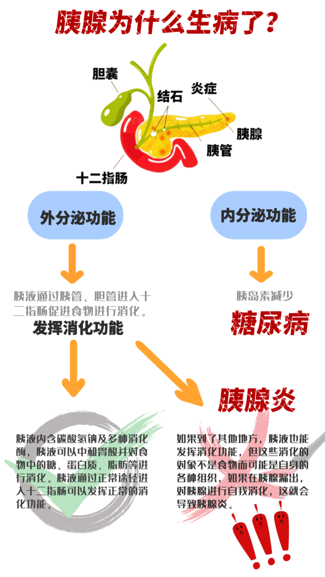 27歲網紅被曝去世急性胰腺炎真有傳說中那麼厲害胰腺為什麼會生病