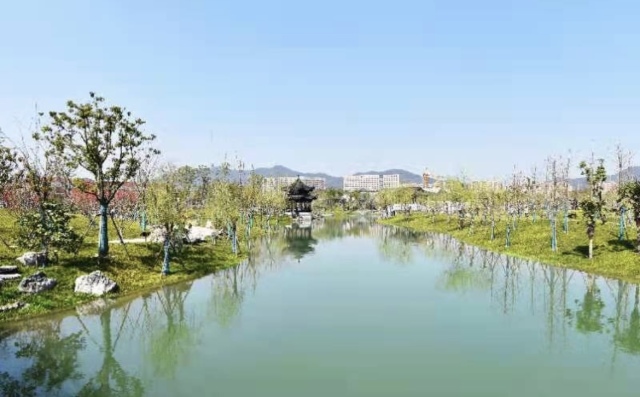 杭州桃花湖公園試開園,一起來沾點桃花運