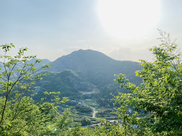 迎亚运裸露山体复绿 临安青南村石灰矿坑的一场人