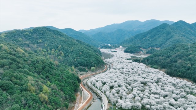 绍兴上虞打造"樱花谷·共富工坊" 拓宽富民路 - 杭 新闻客户端